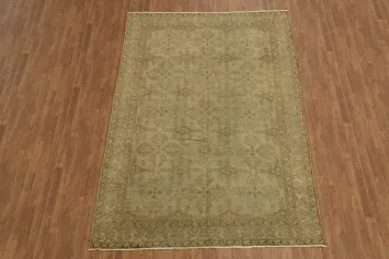 Distressed Beige and Brown Vintage Geometric Persian Rug 7x10