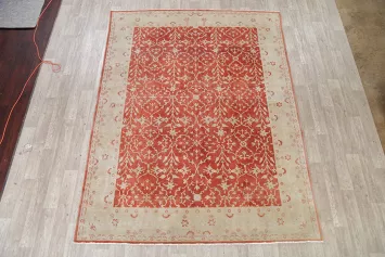 Vegetable Dye Egyptian Area Rug 8x10