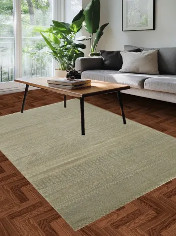 Graceful Minimalist Rug Perfect for Natural Aesthetic 5x8