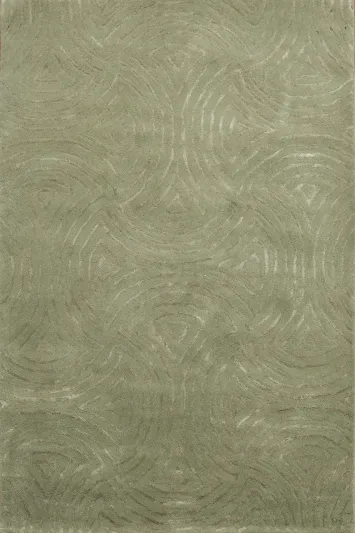 Modern Trellis Oriental Area Rug 4x6