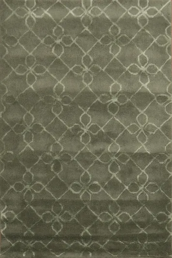 Modern Trellis Oriental Area Rug 4x6