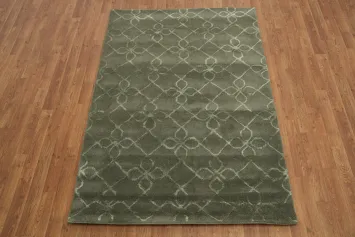 Modern Trellis Oriental Area Rug 4x6