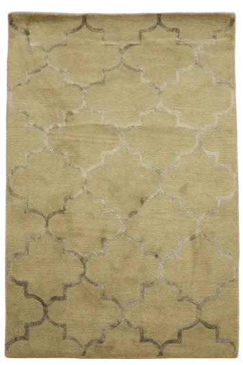 Modern Trellis Oriental Wool Rug 4x6