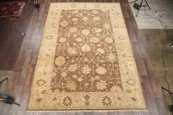 10x14 Oushak Peshawar Pakistan Oriental Area Rug