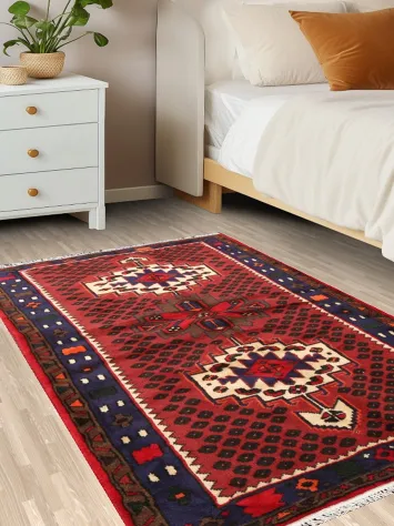 Geometric Hamedan Persian Area Rug 3x5