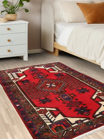 Geometric Hamedan Persian Area Rug 3x5