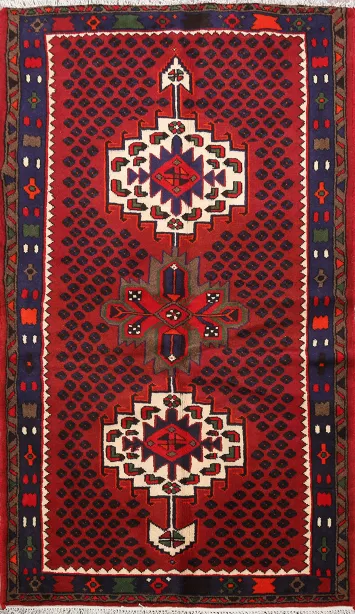 Geometric Hamedan Persian Area Rug 3x5