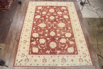 10x14 Oushak Agra Pakistan Oriental Area Rug
