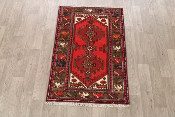 Hamedan Persian Area Rug 3x5