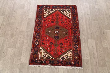 Hamedan Persian Area Rug 3x5