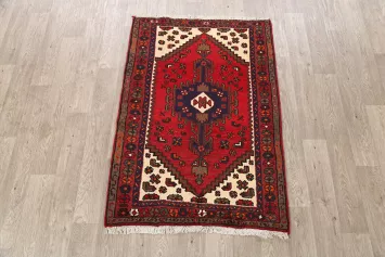 Hamedan Persian Area Rug 3x5