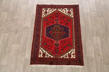 Tribal Hamedan Persian Area Rug 3x5