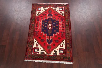 Hamedan Persian Area Rug 3x5