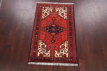 Hamedan Persian Area Rug 3x5