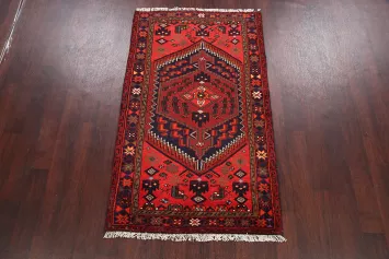 Hamedan Persian Area Rug 3x6