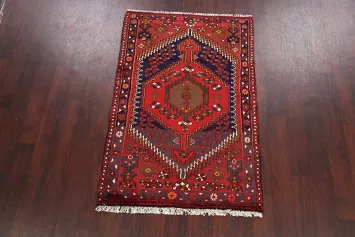 Hamedan Persian Area Rug 3x5