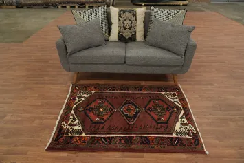 Hamedan Persian Area Rug 3x5
