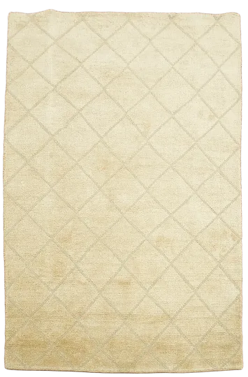 Trellis Moroccan Oriental Area Rug 4x6