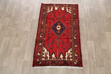 Tribal Hamedan Persian Area Rug 3x5