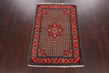 Geometric Koliaei Persian Area Rug 3x5