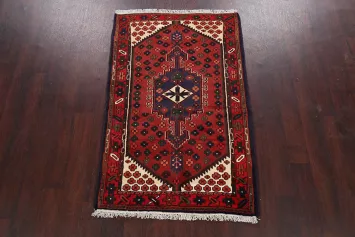 Geometric Hamedan Persian Area Rug 3x5