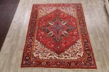Geometric Heriz Persian Area Rug 7x10