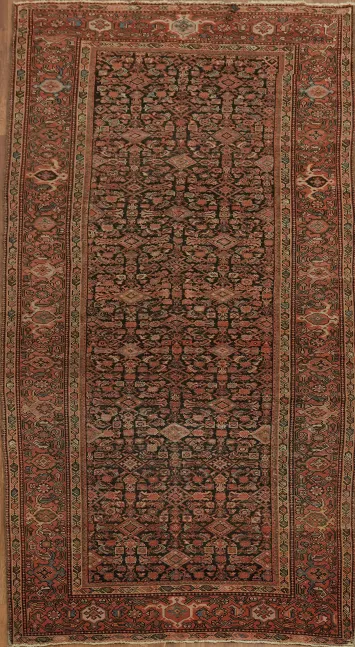 Pre-1900 Antique Vegetable Dye Malayer Persian Rug 5x10