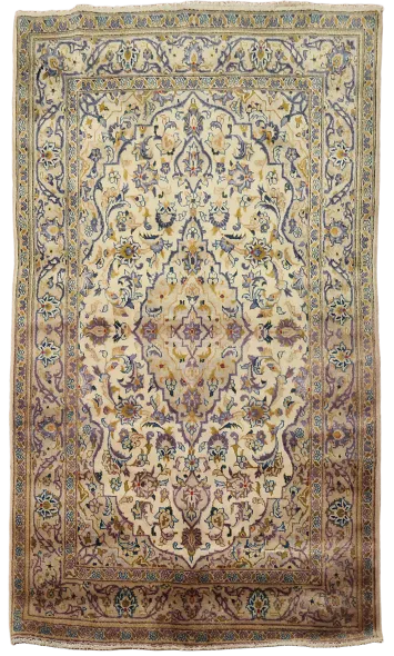 Floral Hamedan Persian Area Rug 3x5