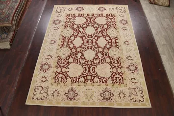 Vegetable Dye Peshawar Oriental Area Rug 9x12