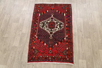 Geometric Hamedan Persian Area Rug 3x5