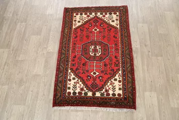 Geometric Hamedan Persian Area Rug 3x5
