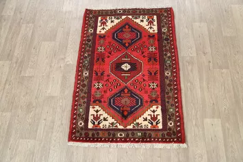 Geometric Hamedan Persian Area Rug 3x5
