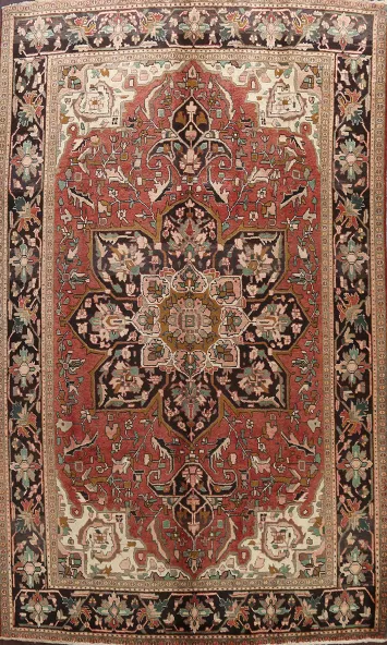 Floral Heriz Persian Area Rug 8x11