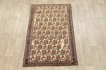 Geometric Sirjan Persian Area Rug 3x5