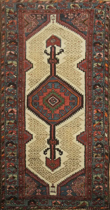 Geometric Hamedan Persian Area Rug 3x6