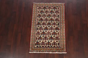 100% Vegetable Dye Geometric Sirjan Persian Area Rug 3x5