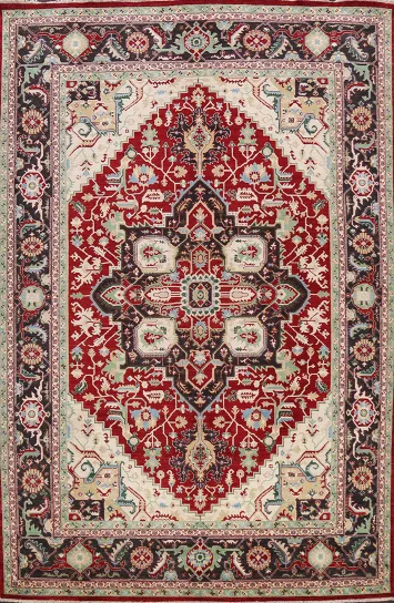 100% Vegetable Dye Heriz Oriental Area Rug 9x12