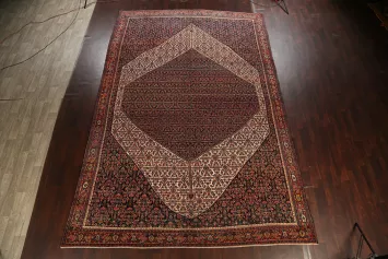Antique 100% Vegetable Dye Senneh Persian Area Rug 11x16
