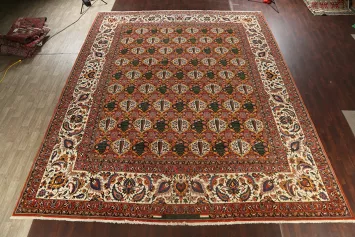 100% Vegetable Dye Floral Bakhtiari Persian Area Rug 16x20