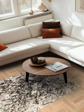 Artistic Modern Abstract Oriental Area Rug 4x6