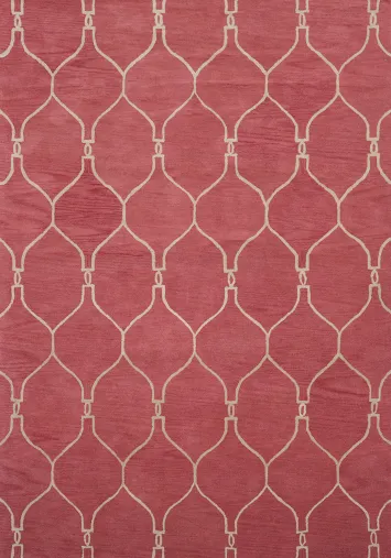 All-Over Pink Trellis Indian Area Rug 9x12
