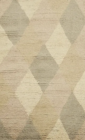 All-Over Trellis Abstract Oriental Area Rug 3x5