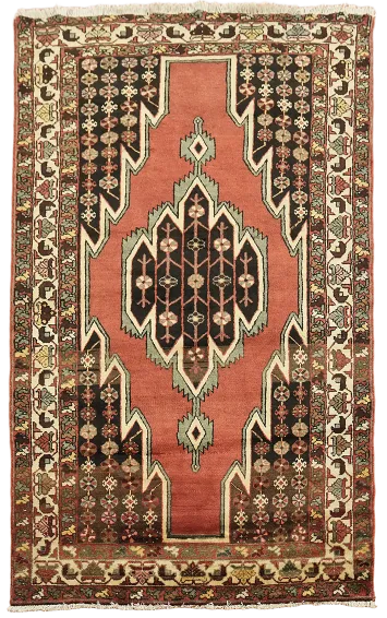 Geometric Hamedan Persian Wool Rug 4x7