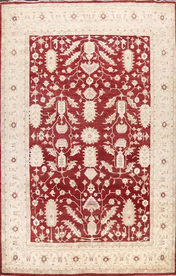 100% Vegetable Dye Peshawar Chobi Oriental Area Rug 10x14