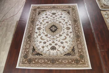 Traditional Tabriz Area Rug