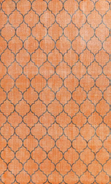 Trellis Moroccan Oriental Area Rug 8x11