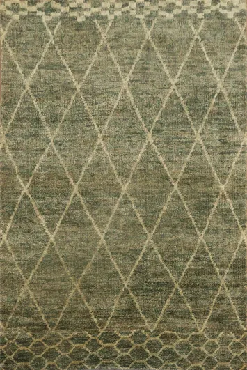 Trellis Moroccan Oriental Area Rug 6x9