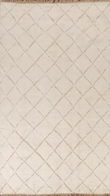 Trellis Moroccan Handmade Area Rug 6x10