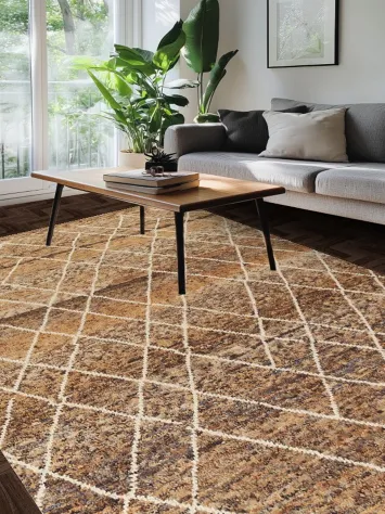 Trellis Moroccan Oriental Area Rug 7x11