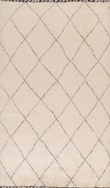 Trellis Moroccan Handmade Area Rug 5x8